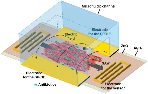 Schematic diagram of the working principle of surface acoustic wave filter Schematic diagram of the working principle of surface acoustic wave filter